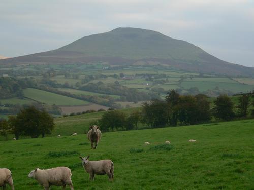 The Draen Bed And Breakfast Brecon Exterior foto